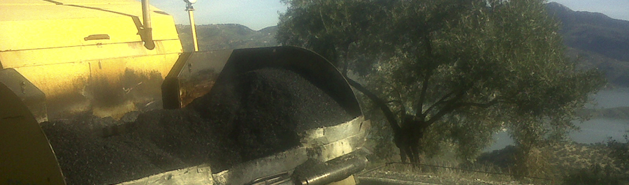 Aglomerados Andaluces